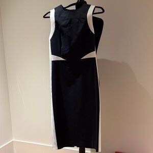 Judith and Charles navy and white pencil skirt dress.  Size 8